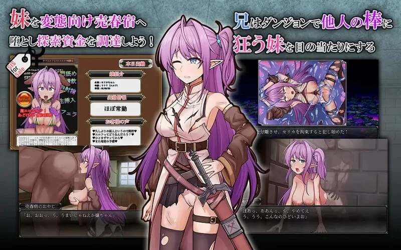 【回合RPG/PC/安卓直装/新作】发情精灵妹妹剑士塞莉卡 [4+1.1G][百度盘]