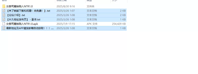 【回合RPG/阿黑颜/汉化】女祭司丽丝陷入NTRV1.0 内嵌AI汉化 [1+700MB][百度盘]