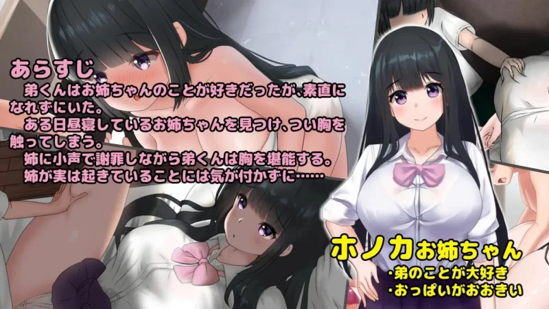 [日式SLG/全动态/步兵/pc] 希望被弟袭击的姐姐 1.04 [1+500m][百度盘]