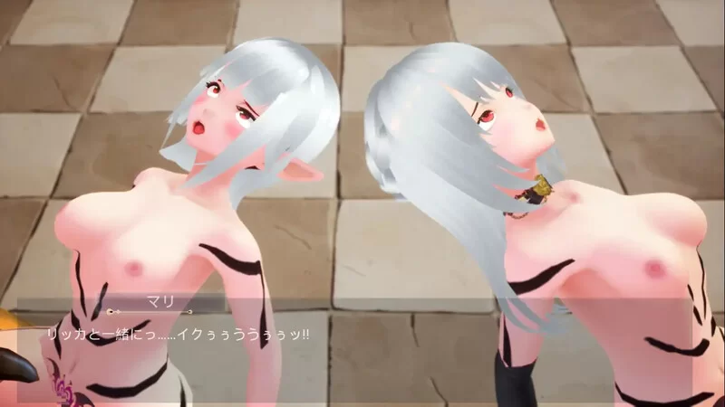 [PC-ACT] 【动作ACT/3D作品/全动态/生肉】绝顶之塔 ~欲望的水… [1+3.2G][百度盘]