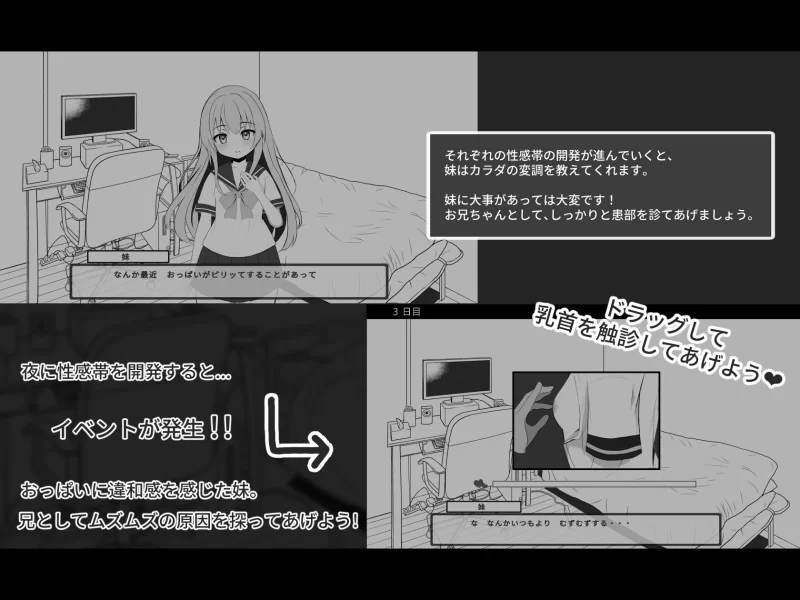 [SLG/生肉/PC] 和熟睡的妹妹之间的秘密关系 すやすや妹とヒミ [2+540m][百度盘]