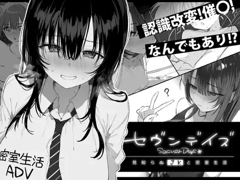 [PC-ADV] 【爆款ADV/动态/汉化】七日密室 与陌生JK的密室同居… [1+1.7G][百度盘]