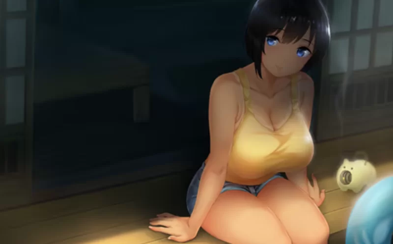 [PC合集]夏+冬日乡村性活~官中全DLC完整版（补丁+攻略存档） [2+4.2G][百度盘]