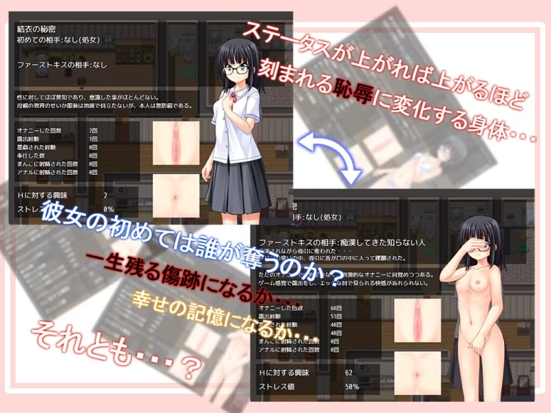【PC/换装/恶堕/强奸/淫啪/汉化/露出】花蕾绽放之时 [1+734M][百度盘]