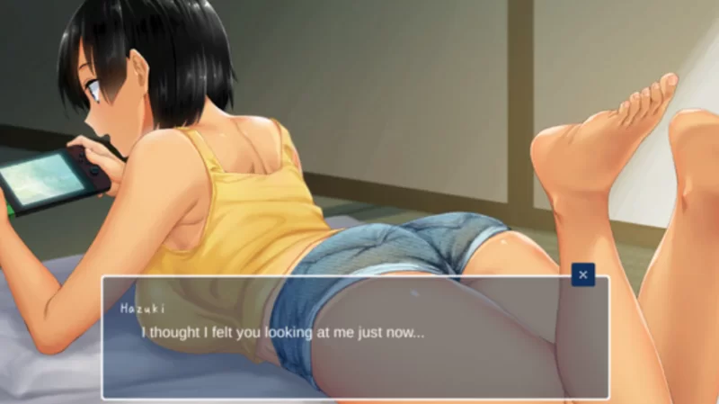 [PC合集]夏+冬日乡村性活~官中全DLC完整版（补丁+攻略存档） [2+4.2G][百度盘]