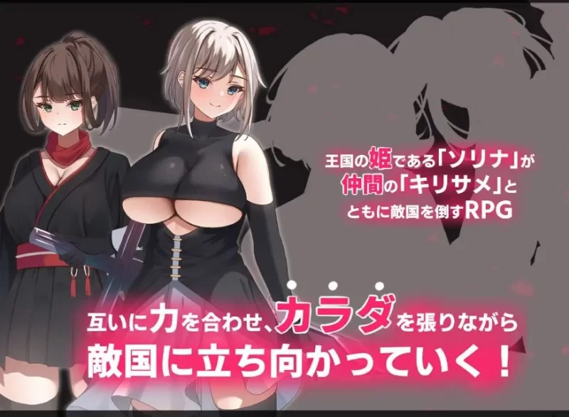 [SLG/AI汉化/全动态/pc] 好色之徒：双子-公国沦陷篇- [1+1g][百度盘]
