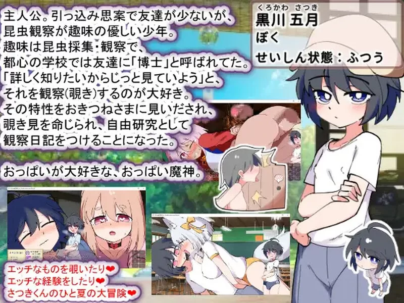 [PC-SLG] 【互动养成SLG/喜剧/汉化】狐狸大人与证钛的夏日日… [1+1.8G][百度盘]