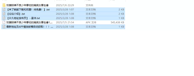 【回合RPG/校园多P/汉化】奴隶训练不良少年学校V1.0 内嵌AI… [1+1.30G][百度盘]