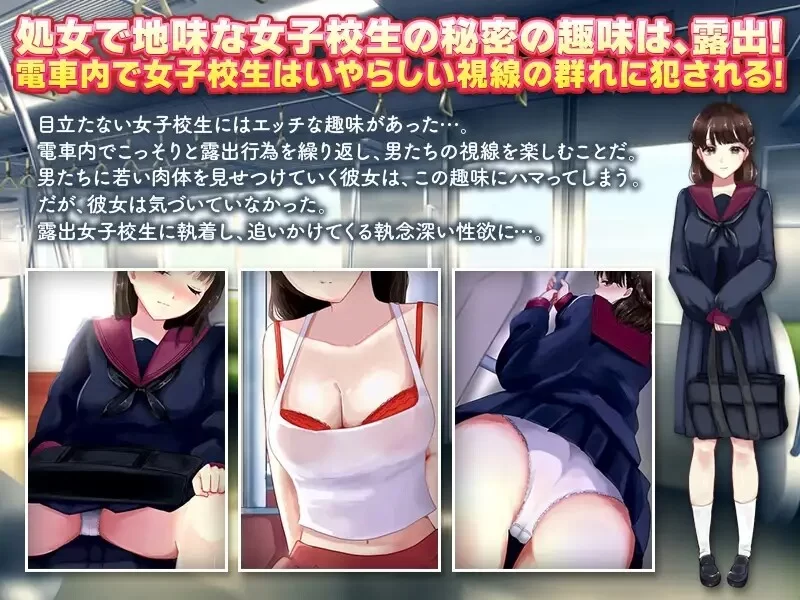 PC–电车露出女高中生和偷拍跟踪狂 電車露出娘と盗撮スト… [1+1G][百度盘]