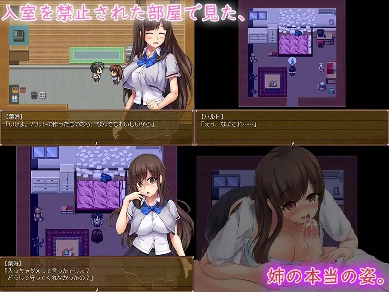 [日式RPG/病娇/pc] 在病娇姐姐的手下潜伏要狠狠惩罚要逃跑的坏孩子完整汉化版 [310M] [1+310M][百度盘]