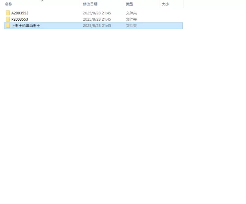 【双端】朋克2079 Punk 2079 v0.2.5.5 汉化版 [1+3g][百度盘]