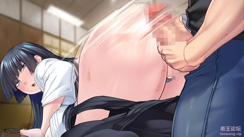 【PC/佳作/后宫/ntl/人妻/全CV/官中】 对不起CAO了你的妈 Ver1.6.8 [1+1.59G][百度盘]