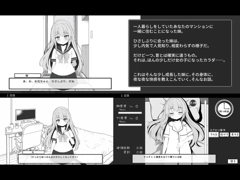 [PC/全CG/汉化/乱伦/妹妹/睡奸/动态] 睡相香甜妹妹的隐秘调教 [1+174M][百度盘]