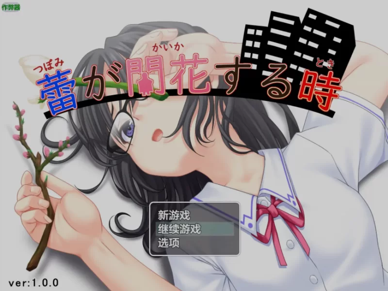 [日式RPG/AI汉化/PC+安卓] 花蕾绽放之时 蕾が開花する時 [2+1.3G][百度盘]