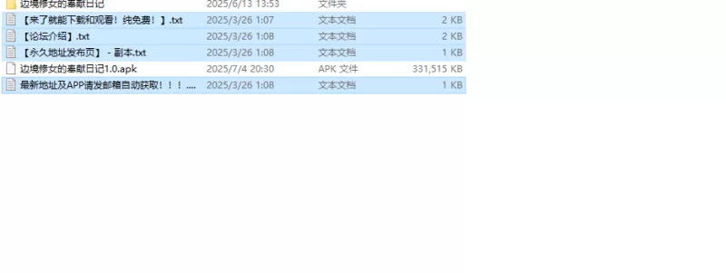 【探索RPG/爆乳修女/汉化】边境村的淫乱巨乳修V1.0 内嵌AI… [1+1G][百度盘]