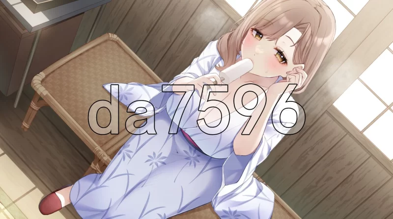 PC–比昨日更成熟的尽兴温泉之旅 昨日より大人になるイキ… [1+1.2G][百度盘]