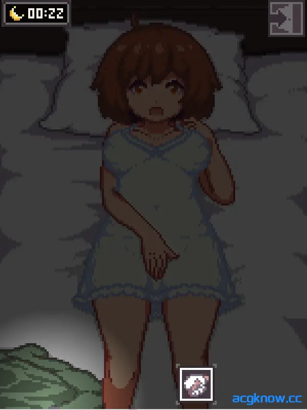 [PC][SLG/官中/像素/睡奸] 夜间的故事 Night Adventure 官方中文版 [100M]