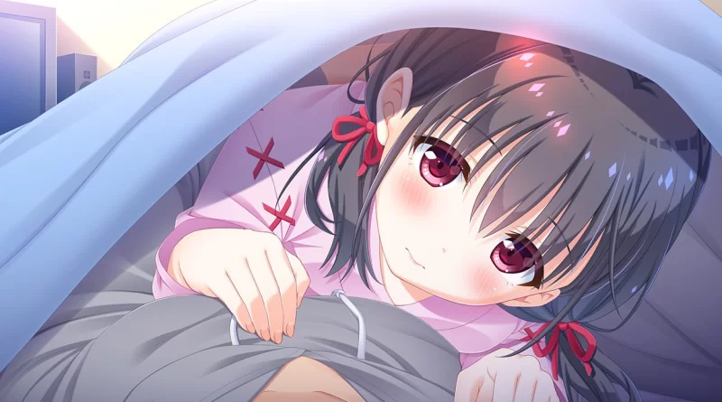 【拔作ADV/官中/步兵/骨科/后宫/PC】哥哥，早起前要一直抱… [1+4.76G][百度盘]