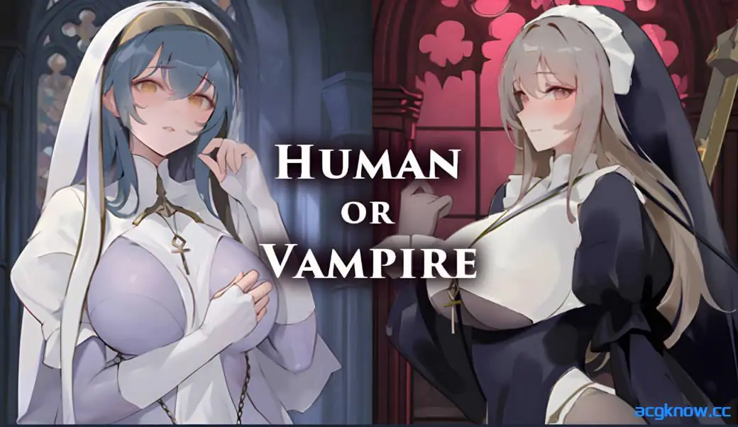 [PC][ACT/中文/动态] 修女[暗黑] Nunholy V1.0.01 官方中文版[663M]