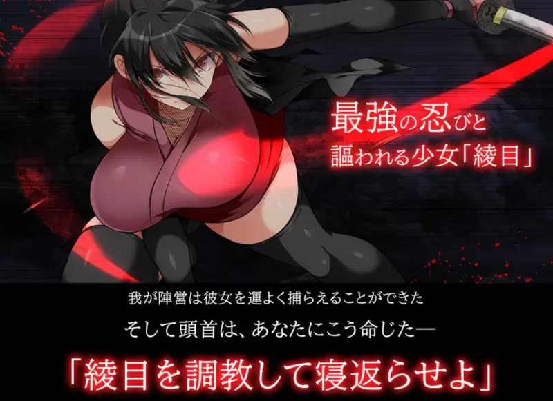 [PC大型RPG]忍堕:女忍调教6066官中版+DLC+攻略 [1+11.3g][百度盘]