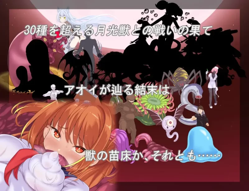 【PC+APK/汉化/异种奸/恶堕/战斗H】月装战姬葵 [1+309M][百度盘]