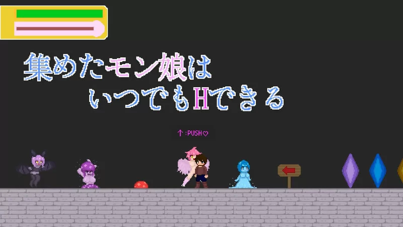 【动作ACT/像素全动态/生肉】魔物娘收集（MonsterV250902 原版JP [1+300M][百度盘]