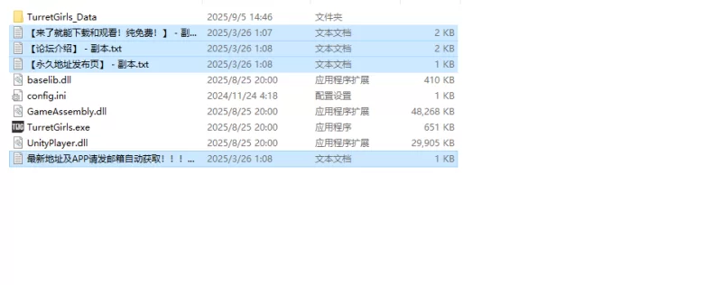 【肉鸽ACT/官中/无正戏】御炮少女（Turret Girls）STEAM官中 [1+1.6G][百度盘]