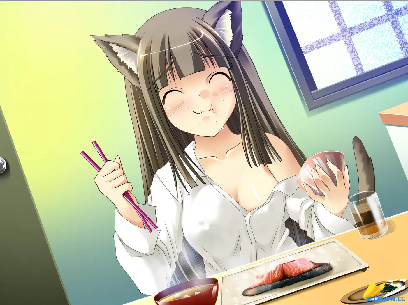 [PC][日系ADV]猫姬 Claude3.5 AI汉化内嵌版+全CG存档 [518M]