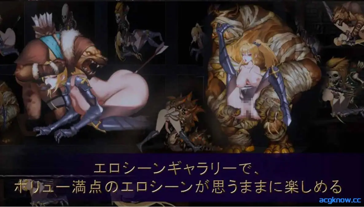[PC][ACT/官中/动态] 圣骑士复仇之夜 聖騎士復讐の夜 官方中文版 [5.62G]