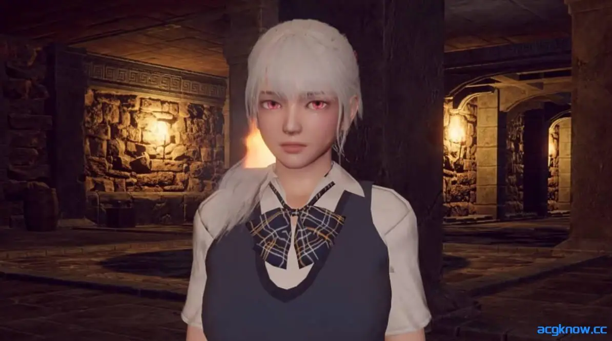 [PC] [ACT大作/3D/官中] 地下城的女骑士 Ver25.01.23 官方中文版 [3.33G]