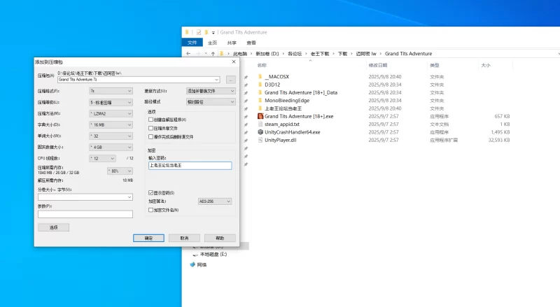 [欧美SLG/PC]迈阿密冒险 Steam官中步兵版 [1+2.68G][百度盘]
