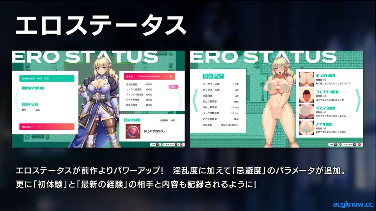 [PC+安卓joi][日系RPG精品/官中/战斗H] 隐秘魔法～女神灵石 官方中文版[1.35G]