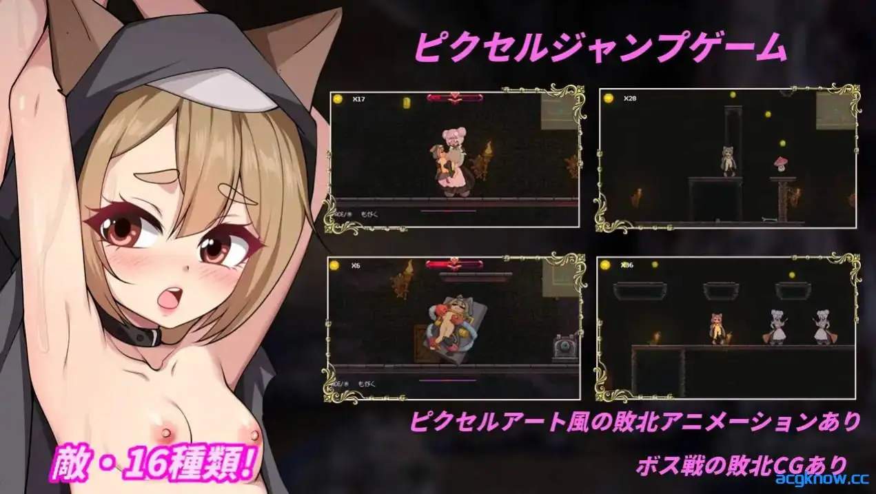 [PC] [ACT/官中/全动态] 隐匿在欲望之城的异世界 欲望の城に隠された異世界 ver1.0.7 官方中文版 [3.2G]