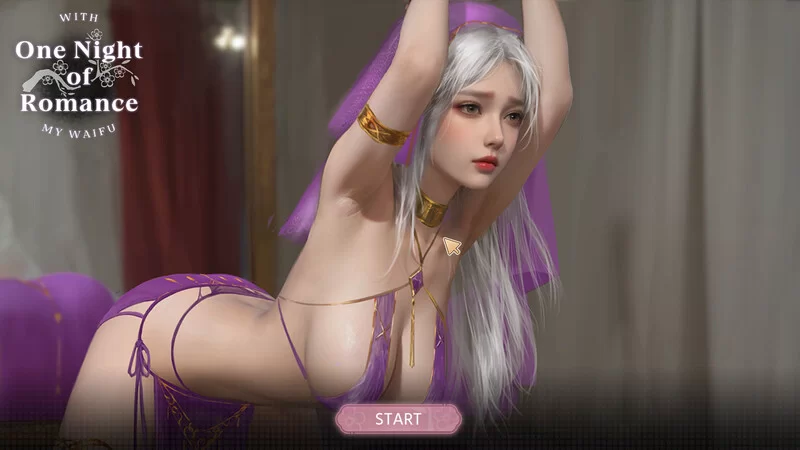 PC–一夜风流（One Night of Romance with my waifu）STEAM官中 [1+2.4G][百度盘]