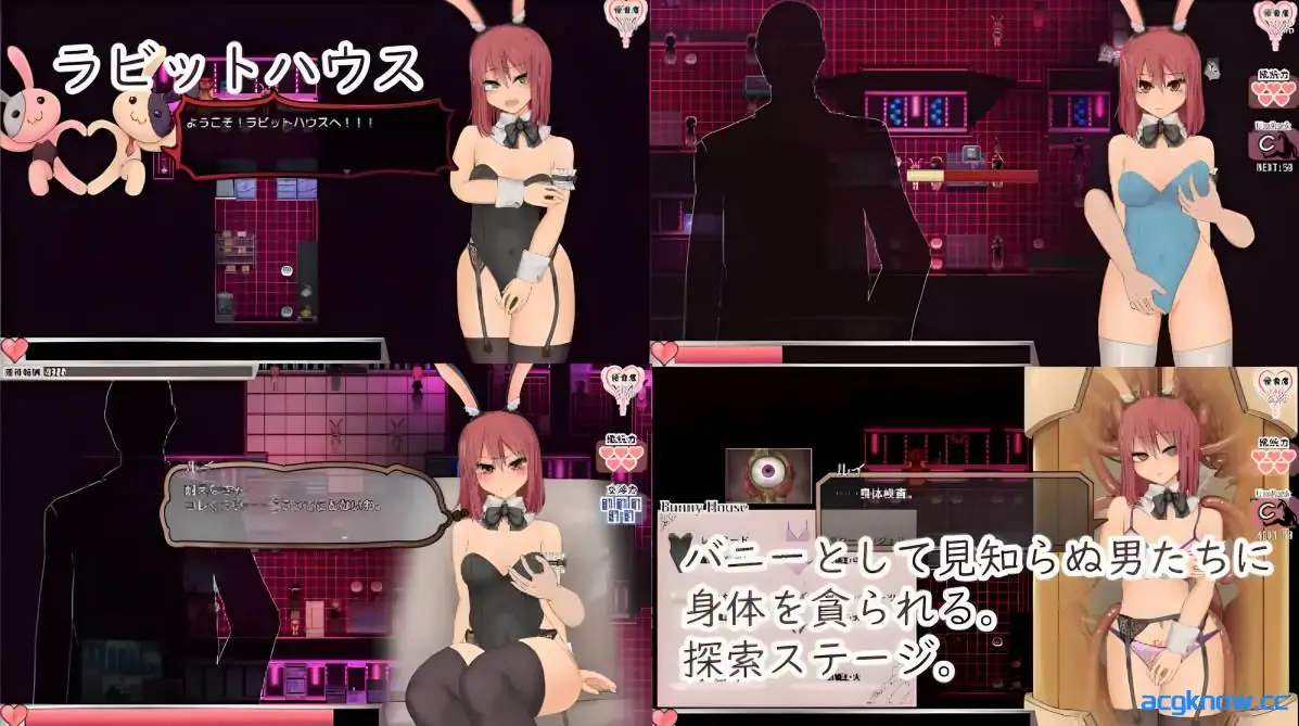 [PC+安卓joi][爆款RPG神作/官中/全动态] 苏尔露伊 -after mini-Ver1.01 官方中文步兵版+存档[1.11G]