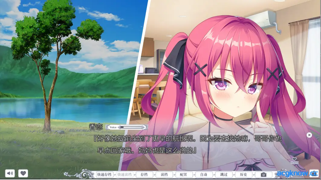 [PC][大型ADV/精翻/CV]梦幻的提尔纳诺 精翻汉化版+全CG存档[5.1G]