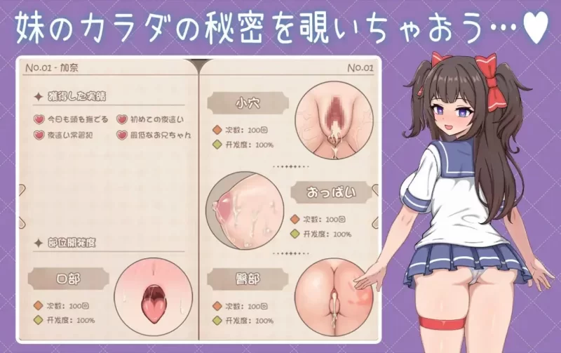 [PC-SLG] [SLG/官方中文] 与傲娇妹妹的治愈日常 v0.3.1官中汉化 [1+799MB][百度盘]