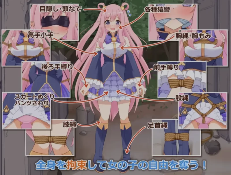 [PC+APK/佳作/触摸/动态/官中/SM/捆绑] 着衣紧缚SLG 绳之神乐 2 [1+180M][百度盘]