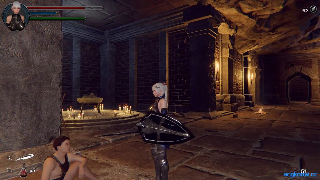 [PC] [ACT大作/3D/官中] 地下城的女骑士 Ver25.01.23 官方中文版 [3.33G]