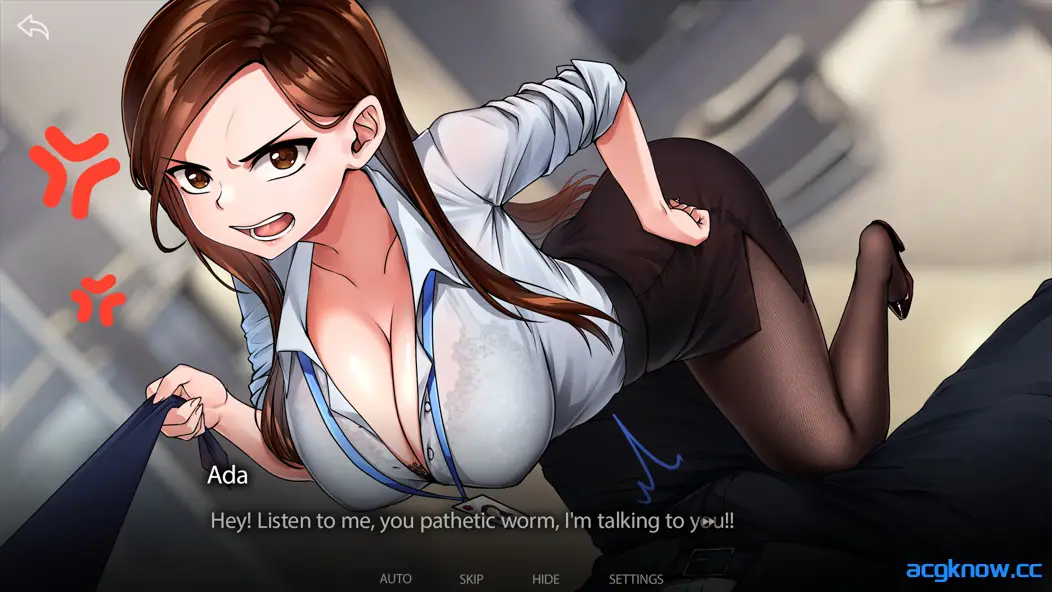 [PC] [欧美SLG/官中/动态] Hentai Stories 成人向故事 色情故事 变态故事 官方中文步兵版 [1.79G]