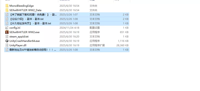 【射击FPS/3D作品/全动态/官中】希特勒的战争:二战STEAM官中 [1+600MB][百度盘]