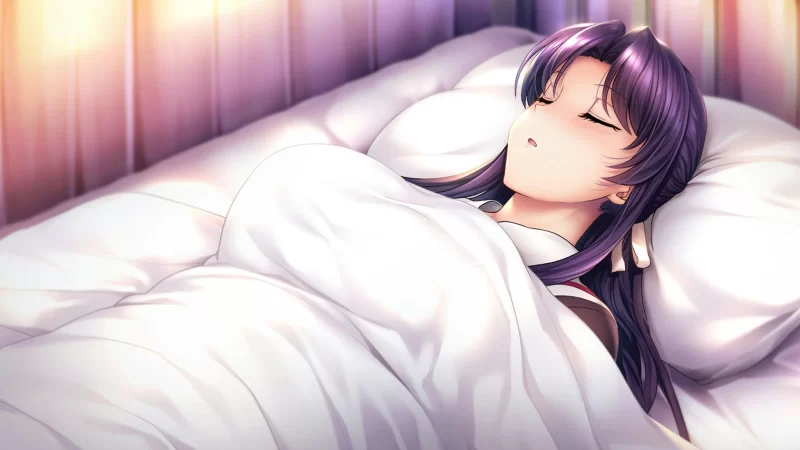 [PC-ADV] [ADV/官方中文] 催眠学习 Build.7592108官中汉化(Secret Des… [1+3.45G][百度盘]