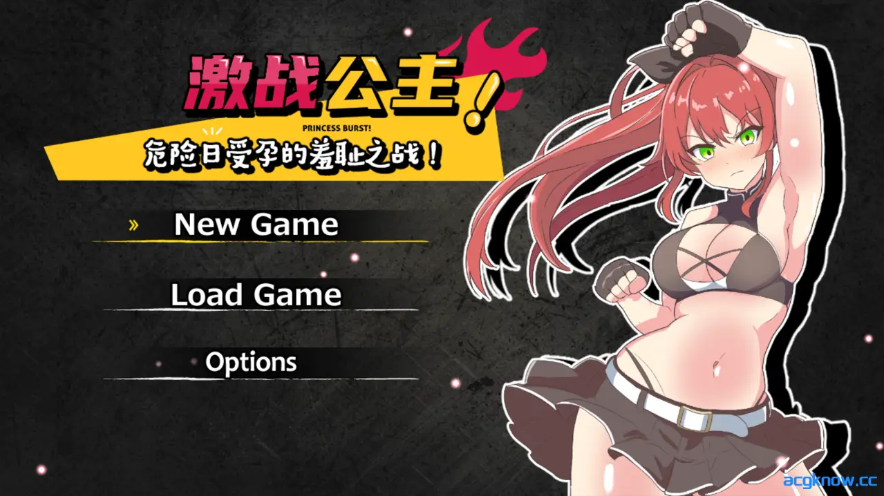 [PC] [日系RPG/官中/步兵] 激战公主！危险日受孕的羞耻之战！ver1.02 官方中文步兵版 [734M]