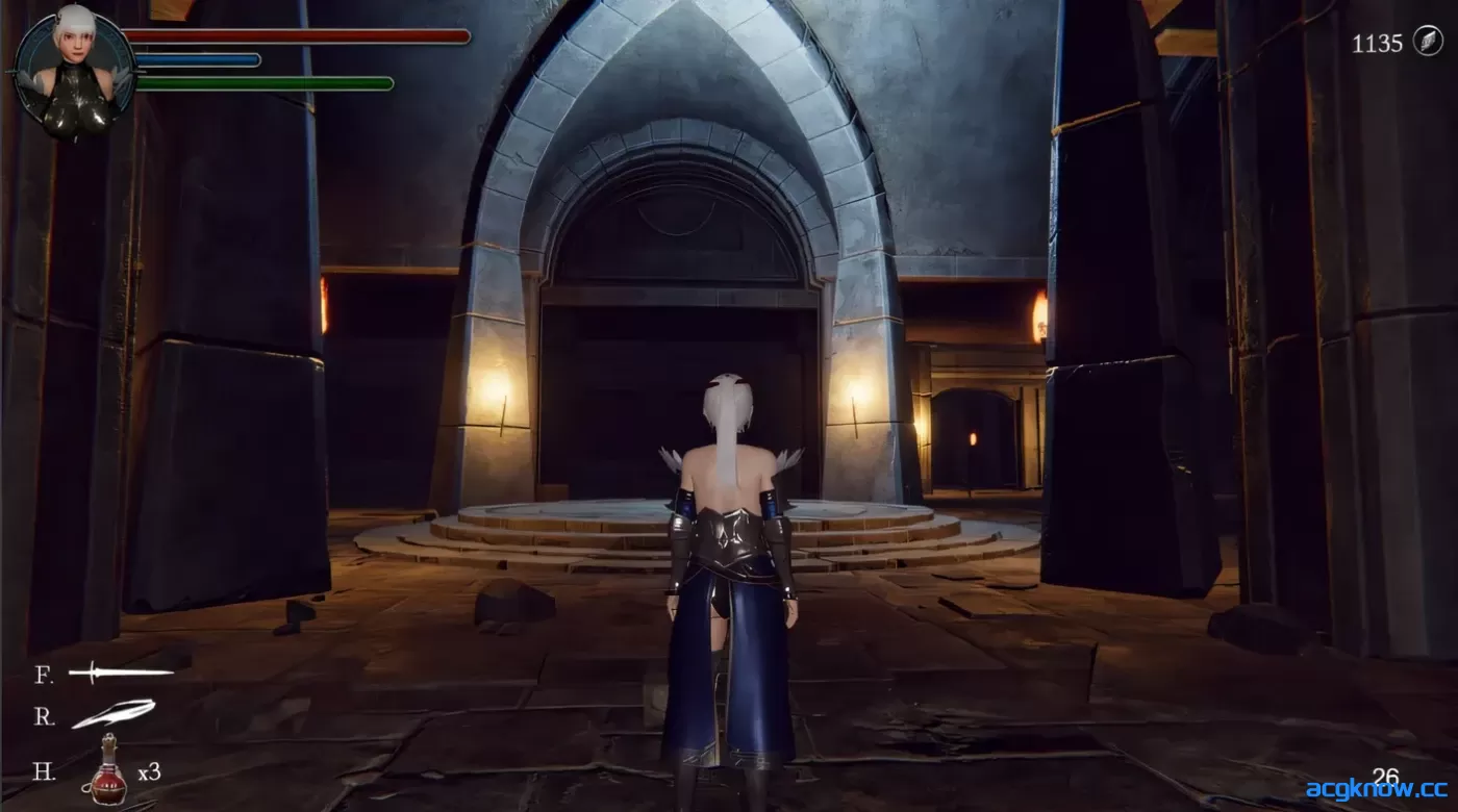 [PC][ACT大作/3D/官中]地下城的女骑士 Steam官方中文版 [3.3G]