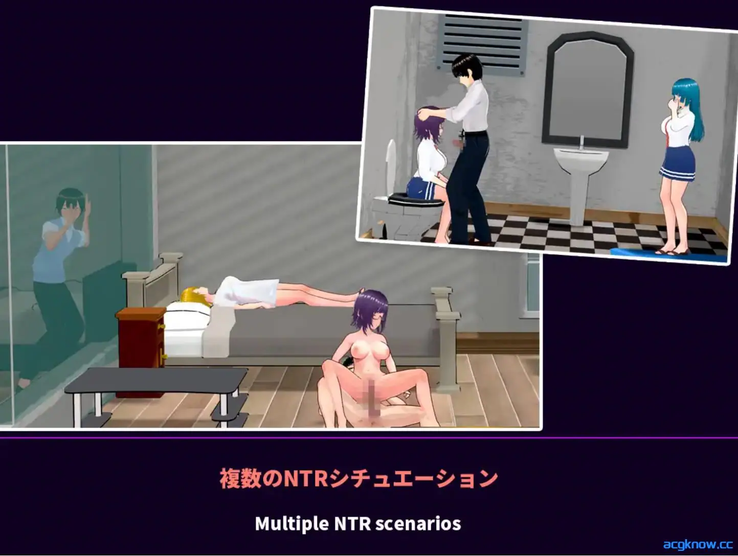 [PC] [SLG/3D/官中/NTR] NTR-可爱的学生们 NTR-可愛い生徒たち Ver1.11 官方中文版 [1.2G]
