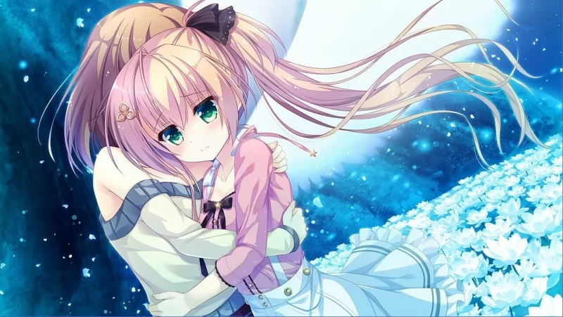 [大型ADV/官中/纯爱/PC]永不枯萎的世界与终焉之花枯机世界終石花 官方中文版 [1+5.04G][百度盘]
