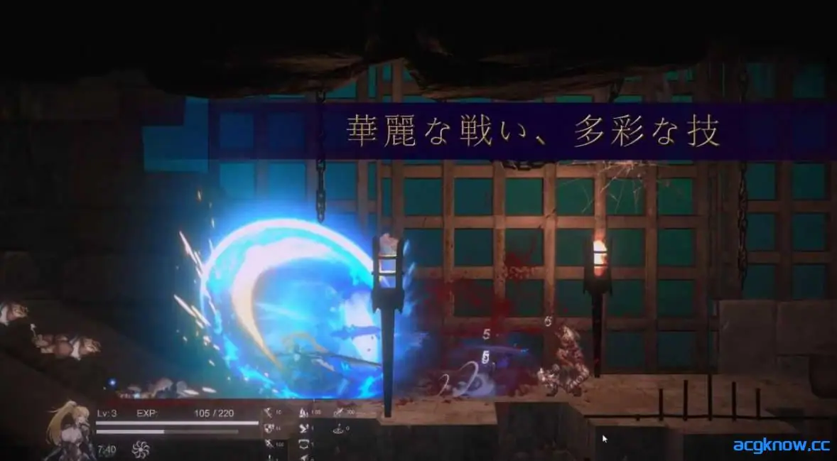 [PC][ACT/官中/动态] 圣骑士复仇之夜 聖騎士復讐の夜 官方中文版 [5.62G]