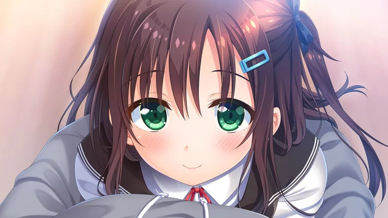【拔作ADV/官中/步兵/骨科/后宫/PC】哥哥，早起前要一直抱… [1+4.76G][百度盘]