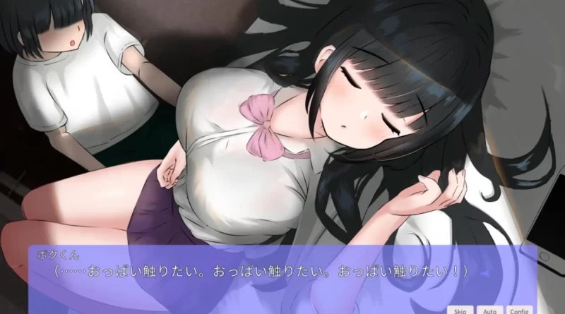[PC触摸SLG]希望被弟袭击的姐姐1.04步兵完全生肉版 [1+745m][百度盘]