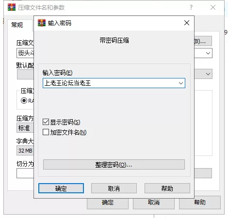 【双端】街头斗士：游乐场 Street Brawler 8.3 汉化 [1+1.5g][百度盘]
